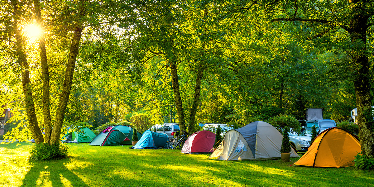 KAMP & RAFTİNG TURU